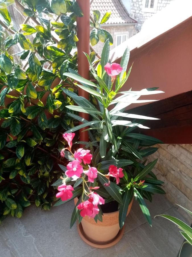 Apartments & Rooms Trogir Stars Free Parking מראה חיצוני תמונה
